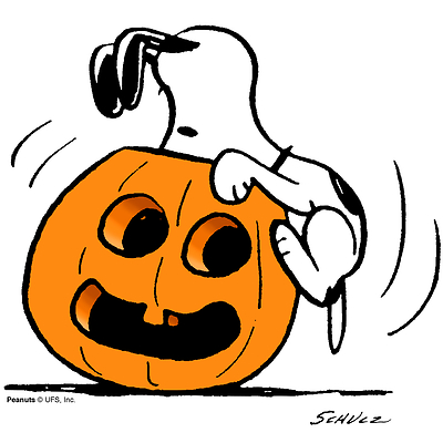 Snoopy looking inside carved pumpkin head