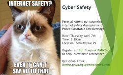 Cyber Safety Flyer