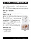 Toronto Public Health - Head Lice Fact Sheet