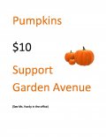 Buy a Pumpkin Flyer