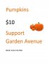Buy a Pumpkin Flyer